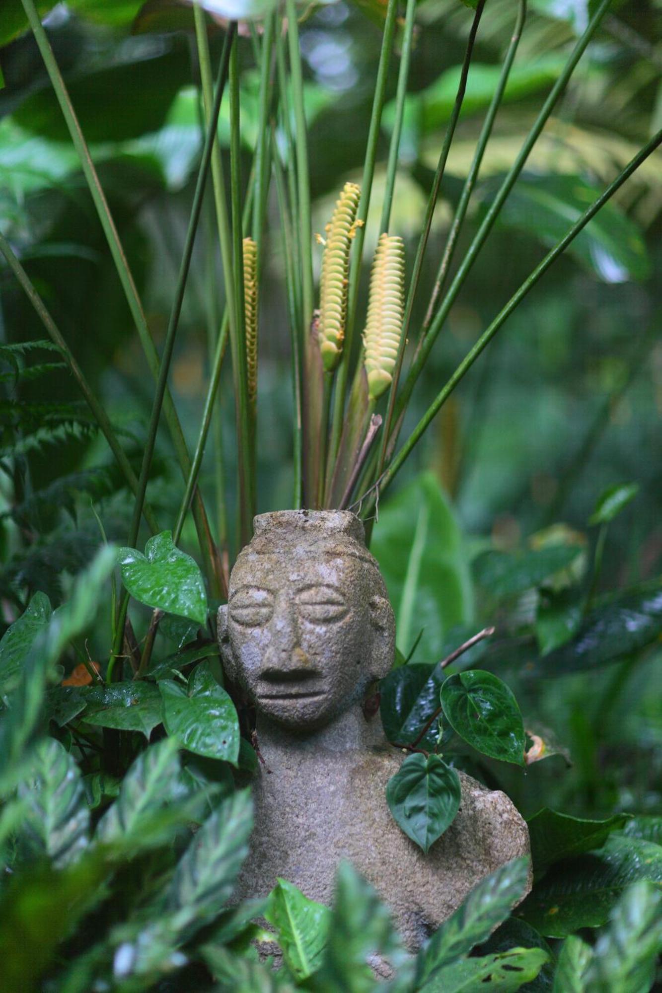 Casa Rio Blanco Eco Friendly B&B กวาปิเลส ภายนอก รูปภาพ