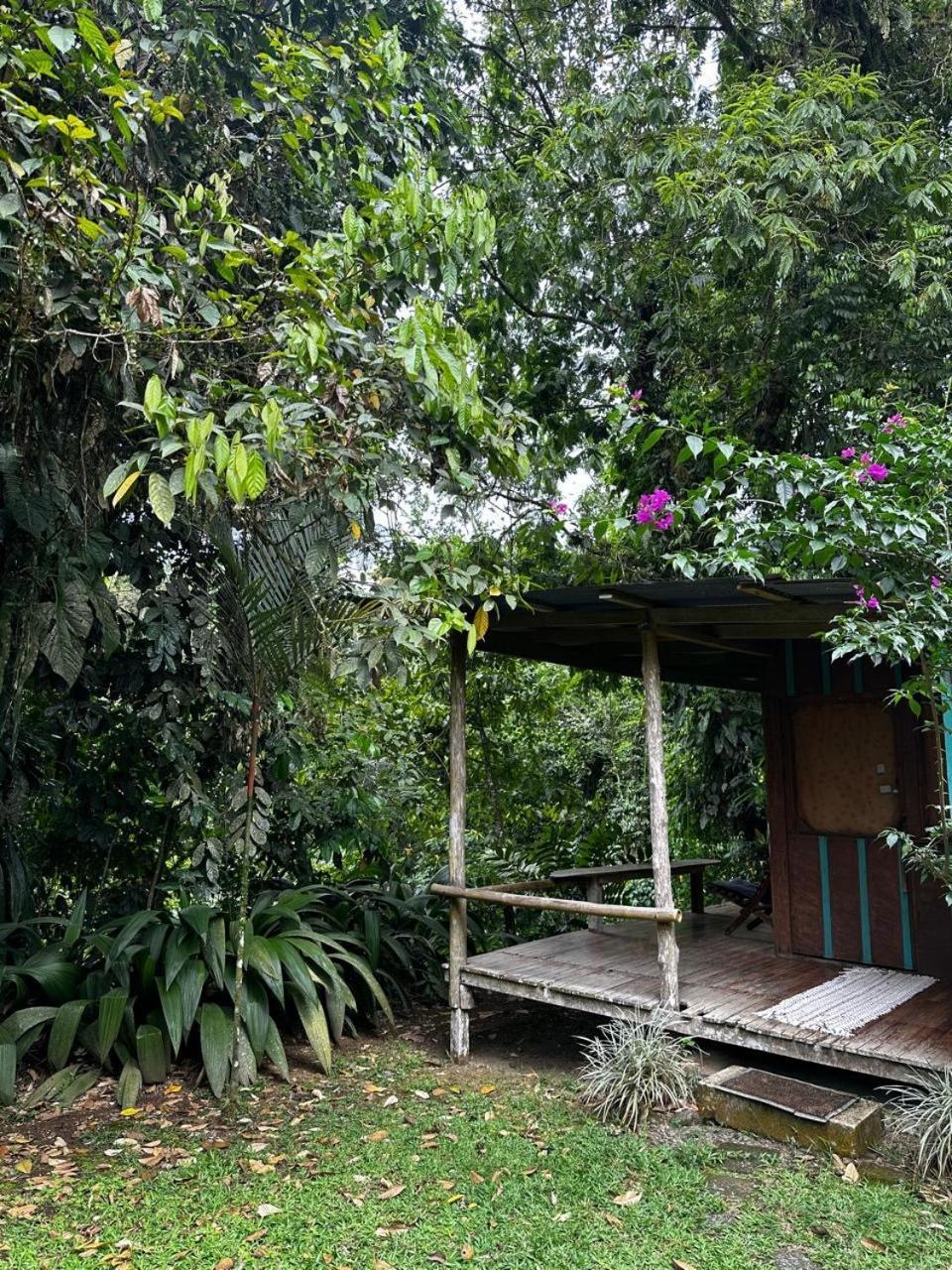 Casa Rio Blanco Eco Friendly B&B กวาปิเลส ภายนอก รูปภาพ
