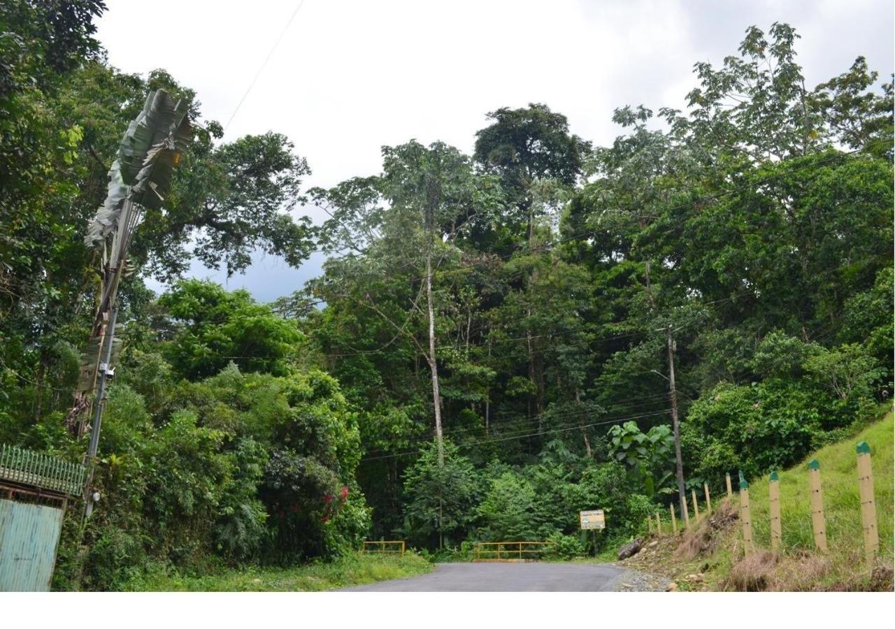 Casa Rio Blanco Eco Friendly B&B กวาปิเลส ภายนอก รูปภาพ