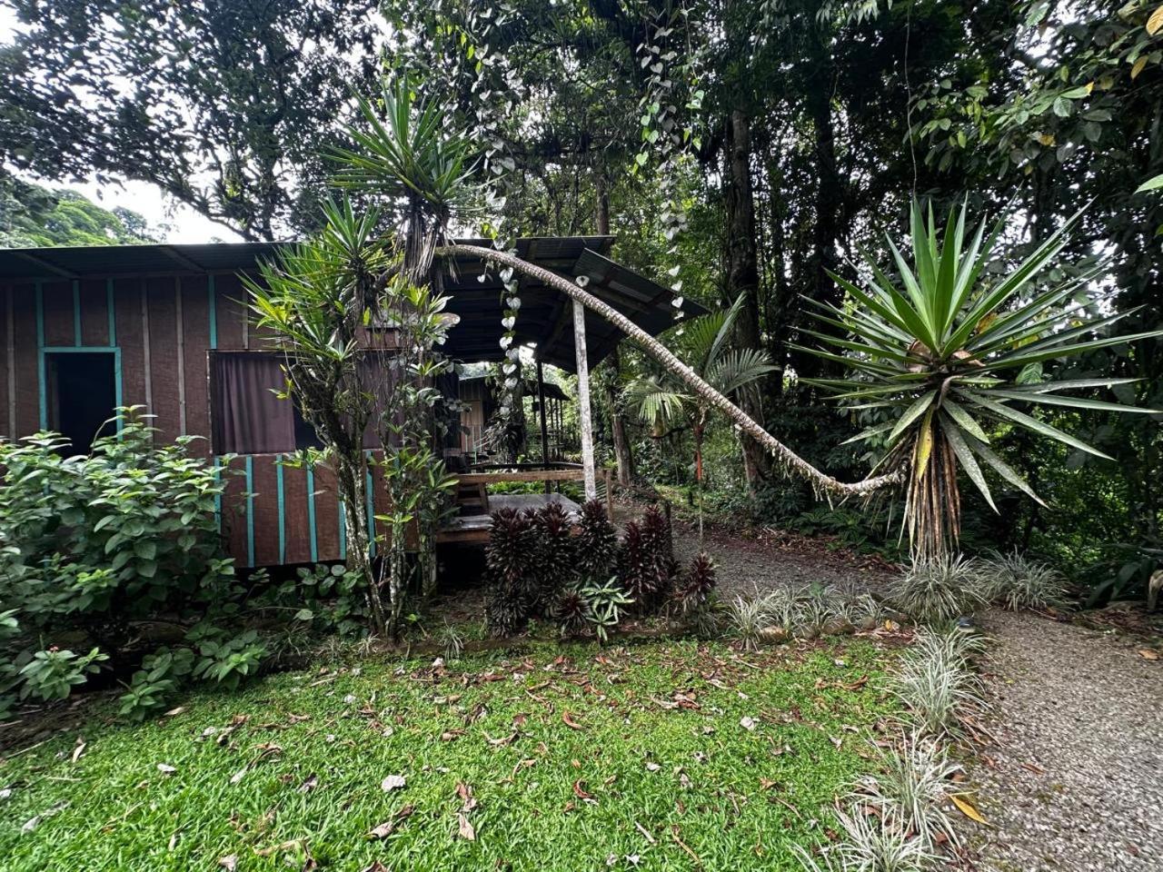 Casa Rio Blanco Eco Friendly B&B กวาปิเลส ภายนอก รูปภาพ