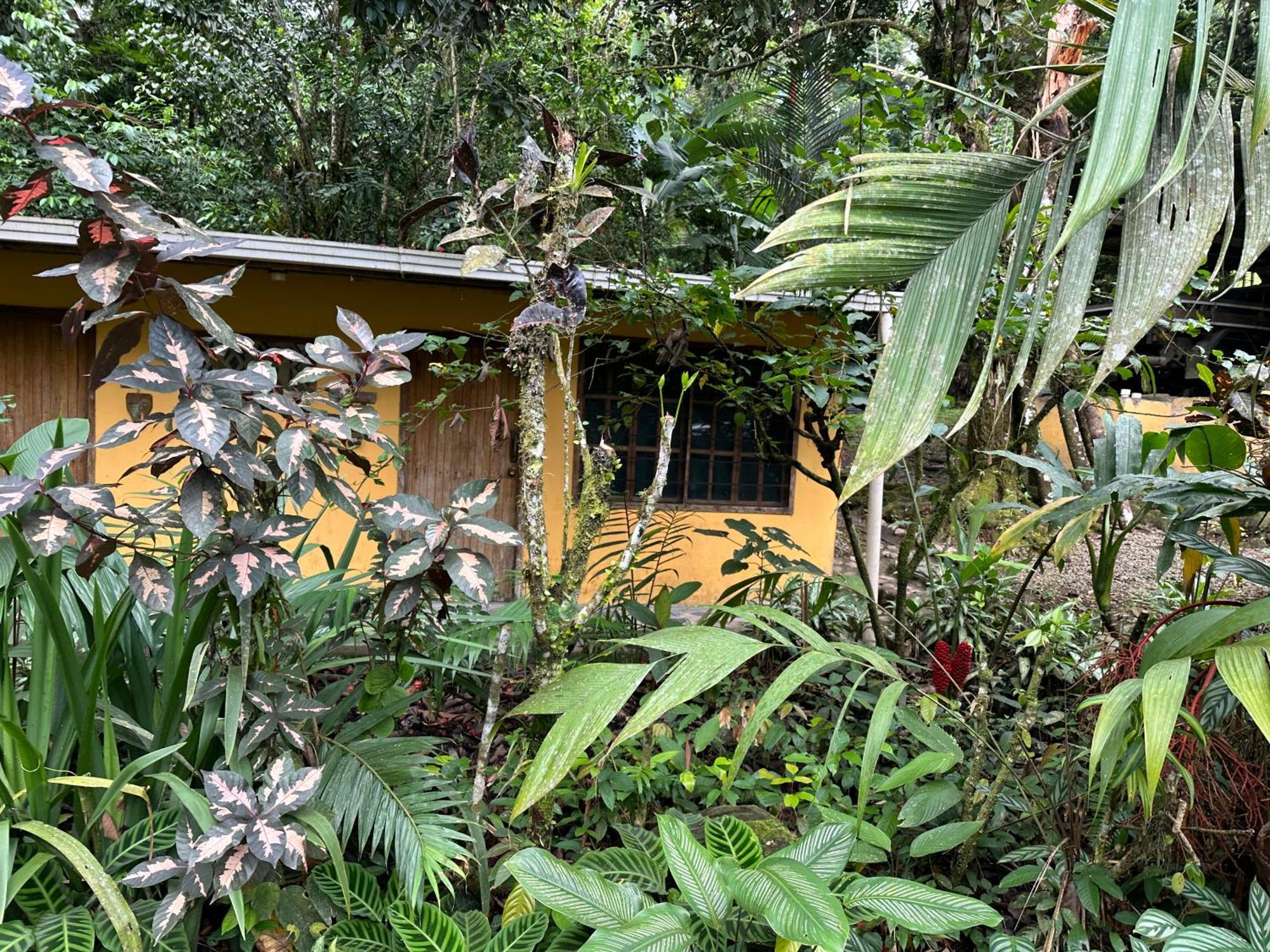 Casa Rio Blanco Eco Friendly B&B กวาปิเลส ภายนอก รูปภาพ