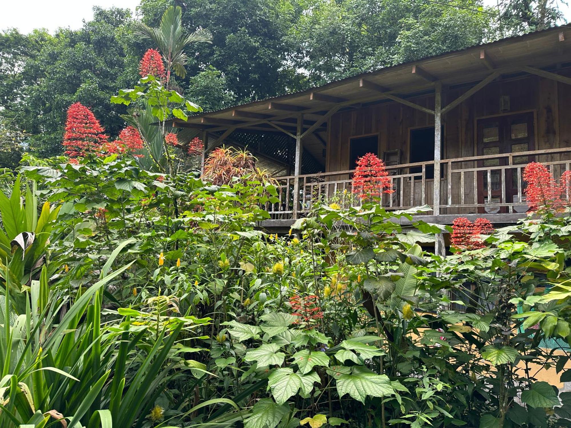 Casa Rio Blanco Eco Friendly B&B กวาปิเลส ภายนอก รูปภาพ
