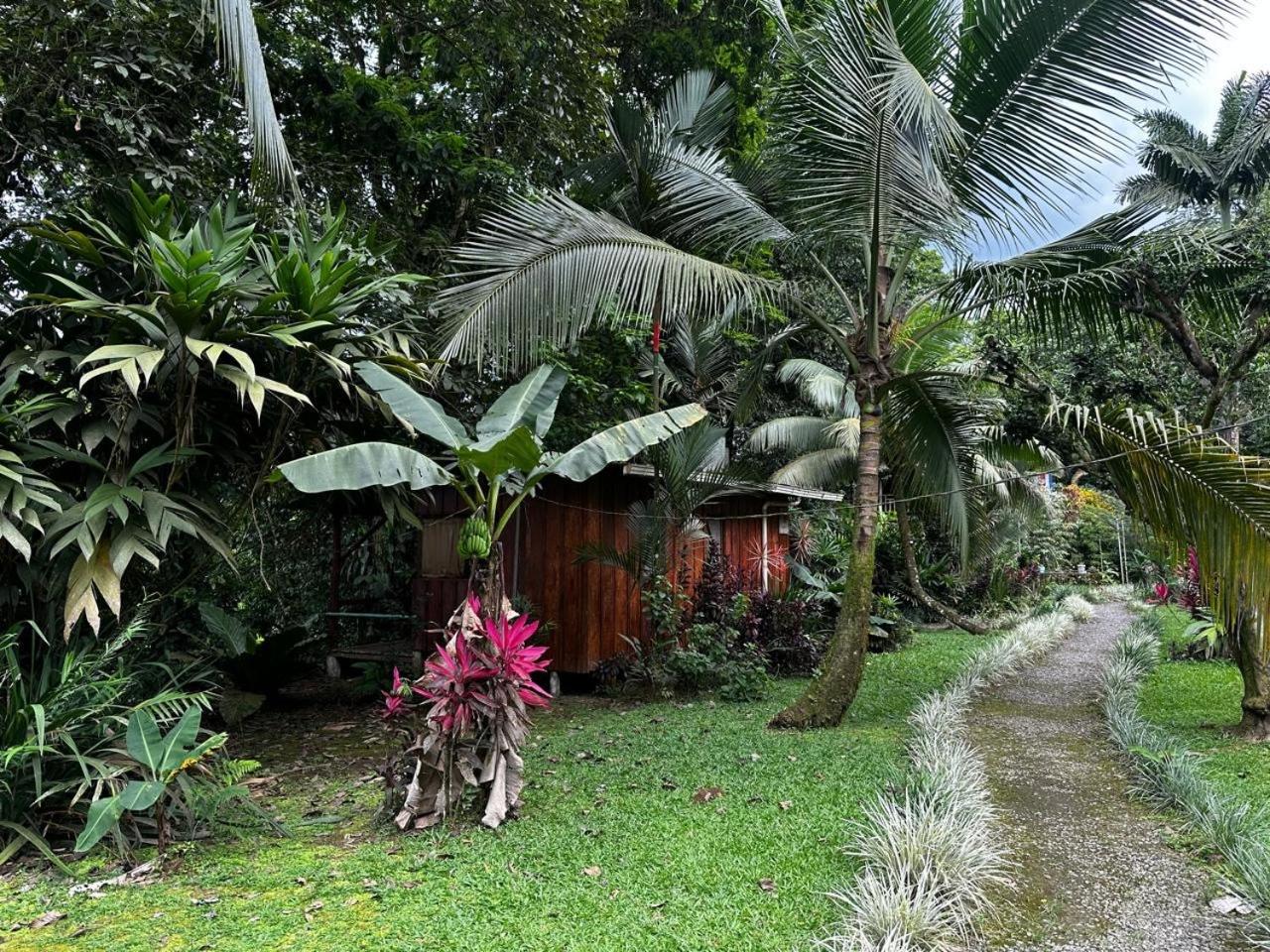 Casa Rio Blanco Eco Friendly B&B กวาปิเลส ภายนอก รูปภาพ
